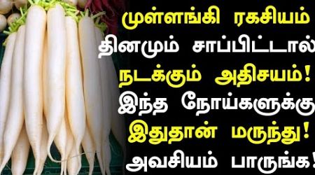 முள்ளங்கி சாப்பிட்டால் நடக்கும் அதிசயம்!| Mullangi Health Benefits in Tamil|Radish Health Tips Tamil