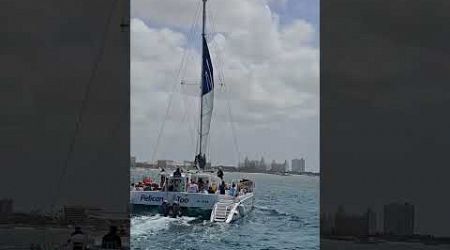 Sailing ⛵️ in Aruba 