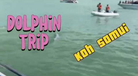 Dolphin Trip, Koh samui. @Phaiboontour