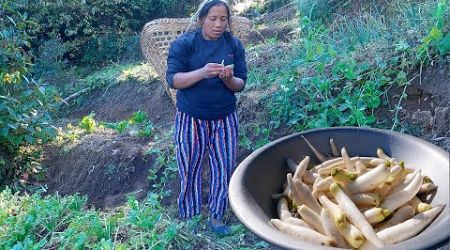 sarmila collecting radish from farm field to make pickle || village natural lifestyle @bhumicooking