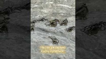 Это их место, я не претендую 