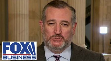 Ted Cruz: This is how we can unify Republicans