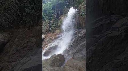 Treetop Tour Zipline Waterfall Koh Samui 2