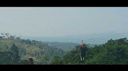 Watching at the Koh Samui Treetop Zipline 2