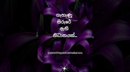 සැඟවුණු නිධානෙ දන්නවද