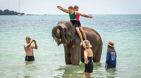 „Als sie einen Elefanten badete“: Spanische Studentin in Thailand bei Touristen-Erlebnis getötet