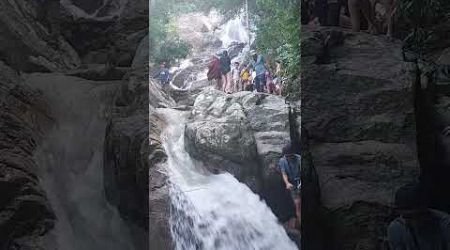 Treetbridge zipline Waterfall Koh Samui 3