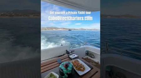 #cabosanlucas yacht charters available with discounts 