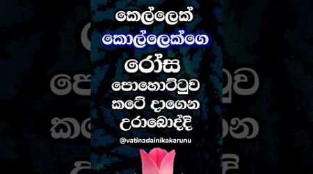 හම්බෝ හිතාගන්නවත් බෑ මරු