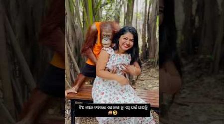 Cutest Monkey❤️| Safari World Bangkok. | Chimpanzee flirting with girl | photo with chimpanzees