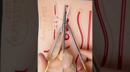 Left-Handed Surgical Scissor Technique #suturing #surgery #stitches #funfact #vet #medicine #surgeon