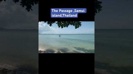 #samui #seafront168 #thepassage #surat #thailand #2024 #fypyoutube #vacation