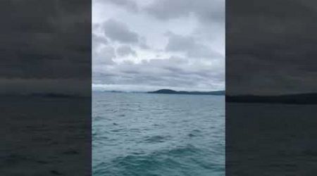 Ferry #ferryboat #krabi #phuket #speedboat #sea #traveldiaries #photography #ferryride #oceanwaves