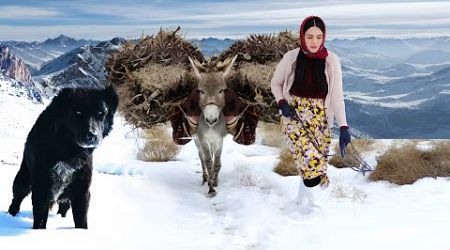 Village Lifestyle Iran: Amazing Cooking &amp; Donkey Riding By A Girl