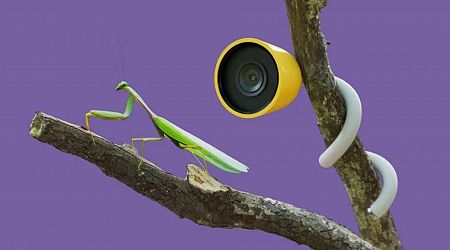 Wonder Petal Smart Garden Camera