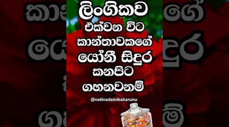 කනපිට හැරෙද්දි දන්නවද වෙනදේ 