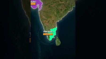 Which State Pays the Most Tax to the Central Government? | Kota Champs #shorts #geography #india