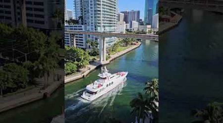 Super Yacht NEVER SAY NEVER | Miami River 