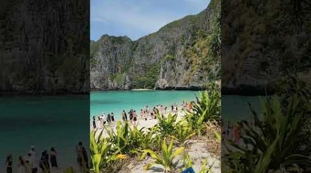 #thailand #phiphiislands #mayabay #bestbeachintheworld #youtubeshorts #beachesandislands #phuket