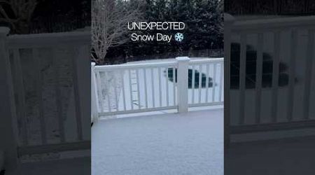 Unexpected Snow Day #snowday #ditl #dayinthelife #sahm #lifestyle #cleanwithme #clean #cleaning