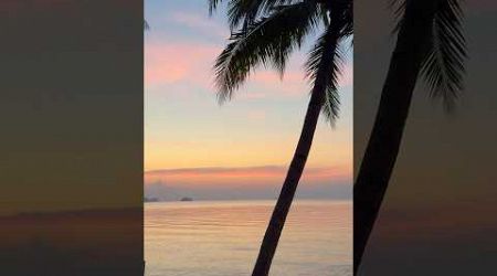 Koh Samui #thailand #shorts #short #sunset #sunsetview #travel #travelvlog