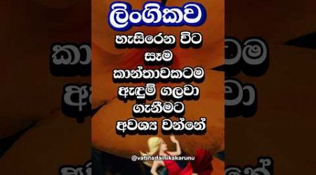 ඔයා නම් මේ ගැන දන්නෙවත් නැතුව ඇති 