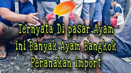 TERNYATA DI PASAR AYAM INI BANYAK AYAM BANGKOK PERANAKAN IMPORT