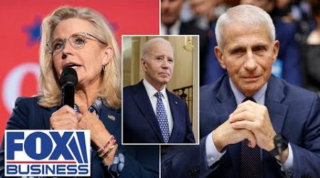 Senator slams Biden over pre-emptive pardons: People are &#39;tired&#39; of two-tiered justice