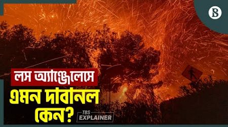 লস অ্যাঞ্জেলেসে দাবানল ছড়িয়ে পড়ার কারণ কী? | Wildfire | Los Angeles | USA | The Business Standard