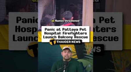 Firefighters Rescue Families from Pattaya Pet Hospital Fire