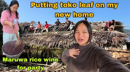 Putting toko leaf on my new home village vlog || preparing lunch for the youth of my village