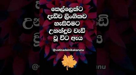 දන්නවද එතකොට කරනදේ