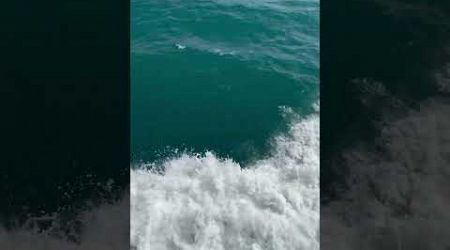 Water from speedboat koh samui to koh phangan #thailand #water #gulfofthailand #waves #wave