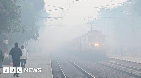 Smog causes travel chaos in Indian capital Delhi