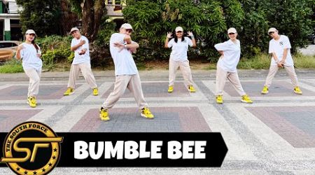 BUMBLE BEE ( Dj Gibz Remix ) - Dance Trends | Dance Fitness | Zumba