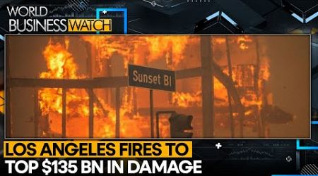 Significant Economic Loss From LA Fires | World Business Watch | WION