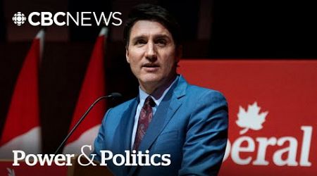 Can anyone bring the Liberal Party back from the brink? | Political Pulse Panel