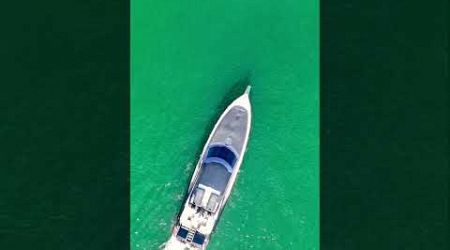 Drone Shot of the Yacht at Sydney Harbour. #yachtlife #youtubeshorts #richthekid #rapperlife