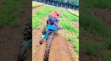 It&#39;s a very efficient machine for digging ditches #village #lifestyle #craft