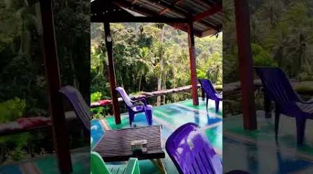 SZ Samui Glamping Tajlandia