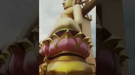 Big Buddha. Koh Samui #shortsfeed #shorts #shortvideo #travel #viralvideo #thaitourism