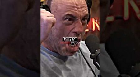 Joe Rogan and Dana White Gamble on Yacht