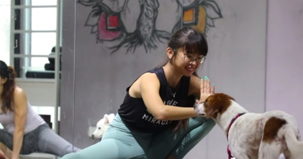 This 23-year-old animal lover opened a studio so people can attend yoga classes with their dogs