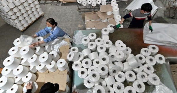 Uyghur group wins appeal over UK investigation into 'slave labour' cotton