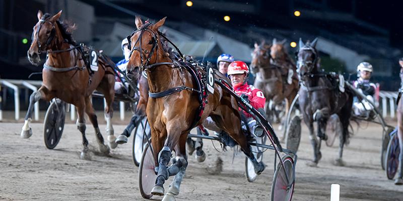 ”Med loppet bakom sig är han redo för seger”