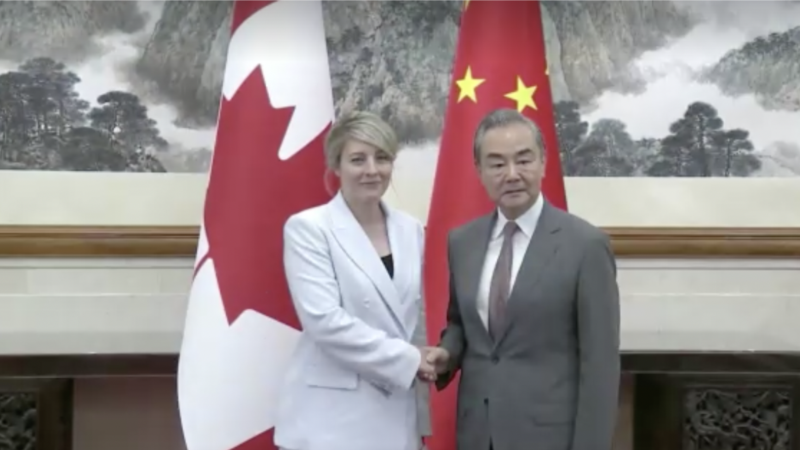 China, Canada should work toward strategic partnership, Wang says
