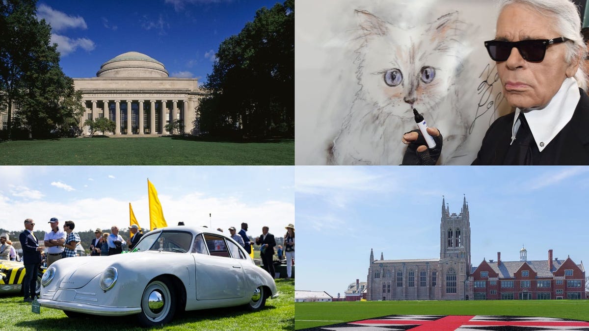 Million-dollar pet wills, expensive colleges, and Monterey Car Week: Lifestyle news roundup