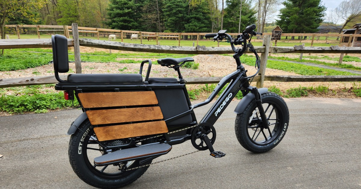 Pedego Cargo e-bike review: your passengers will love it