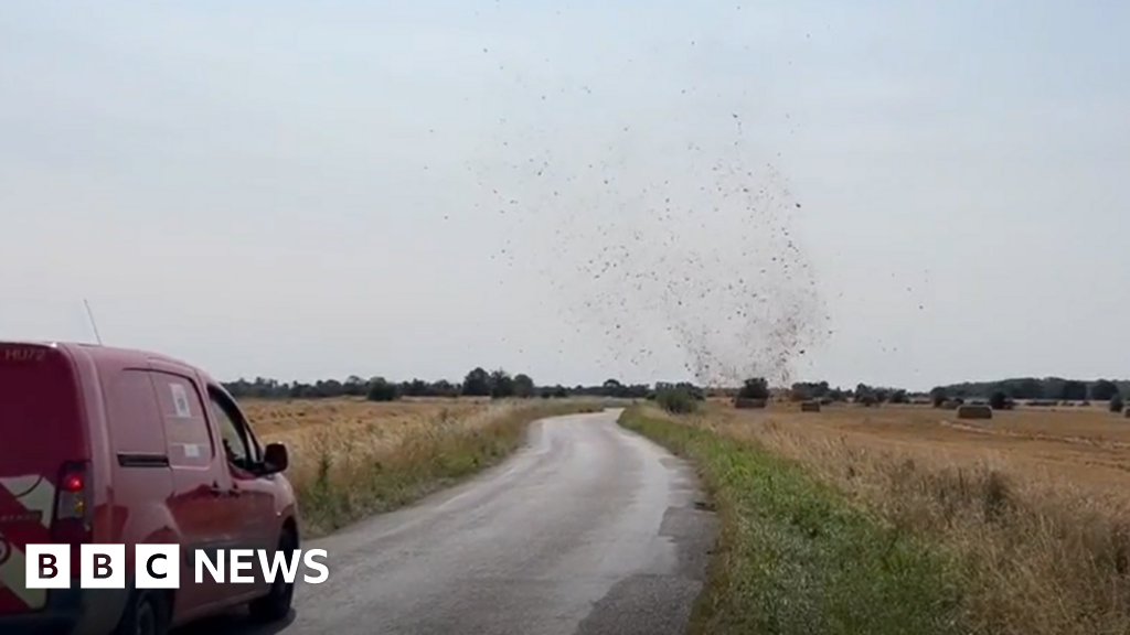 Watch: Dramatic dust devils spotted in East of England