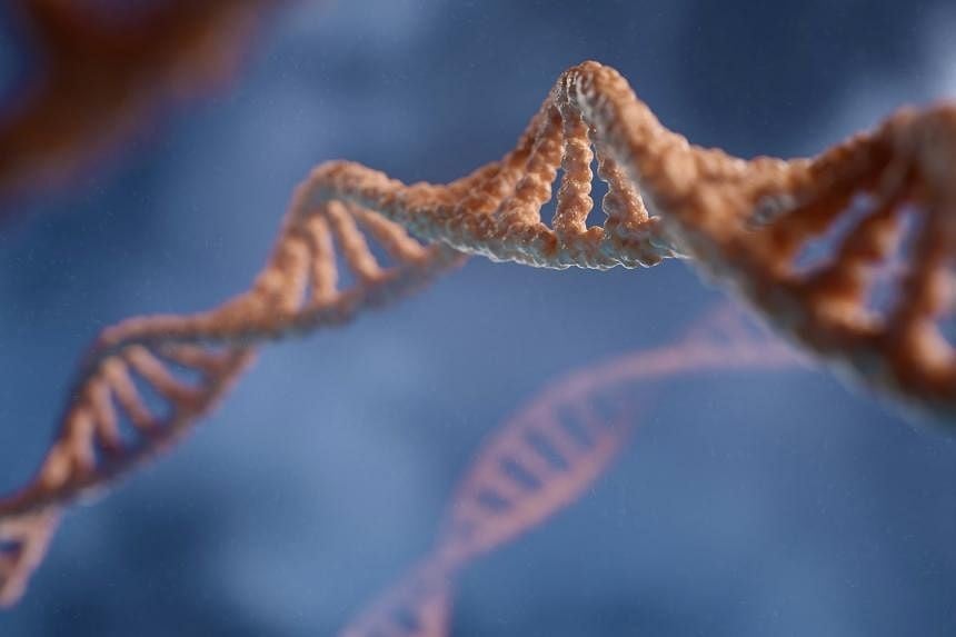 UK to roll out gene-editing therapy for rare blood disorder